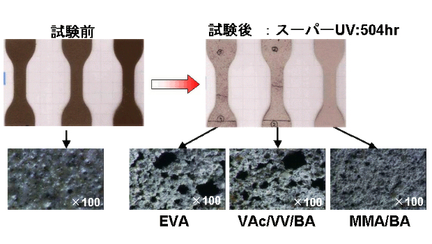 耐UV性