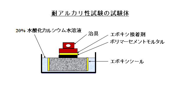 耐アルカリ性試験の試験体
